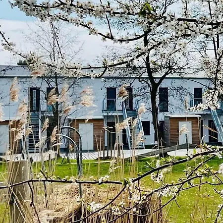 Koje 